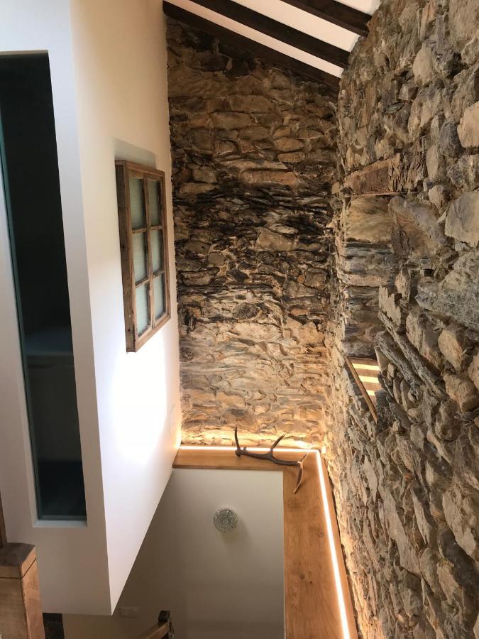 Studio Rural Vilarinho  Eksteriør billede